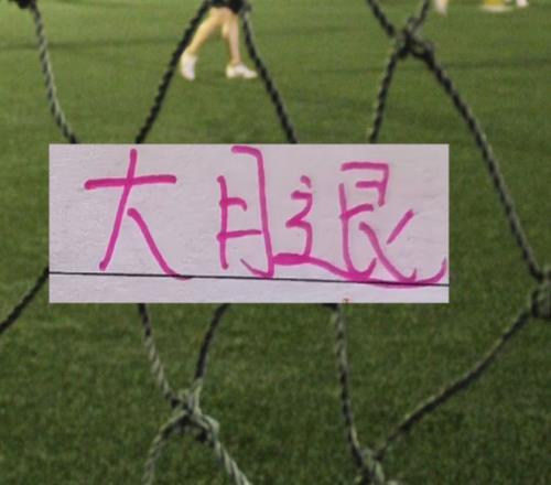 中国队勇夺,亚冬会自由,式滑雪空中,NG体育,NG体育app,NG体育官网,NG体育下载,NG体育入口