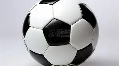 塔图姆近五战高效表现，大乐透期号专家推荐分析，绿凯夺冠赔率跃